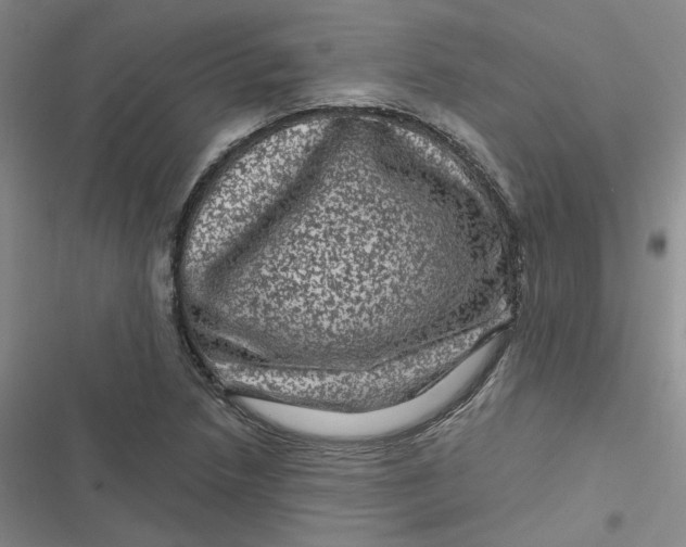 X0000116871218201001121255