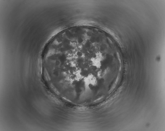 X0000116871219201001121255