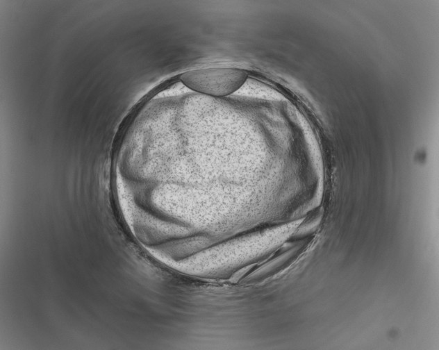 X0000116871220201001121255