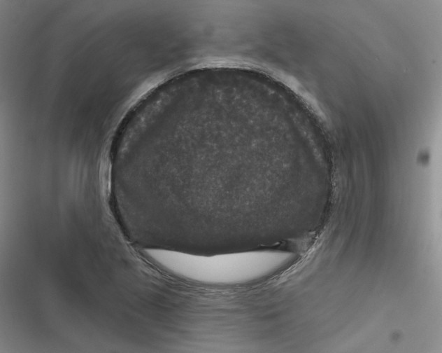 X0000116871221201001121255