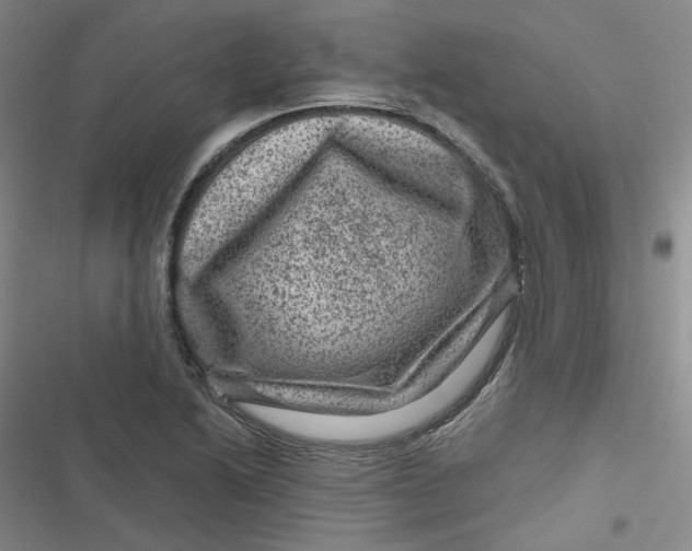 X0000116871222201001121255