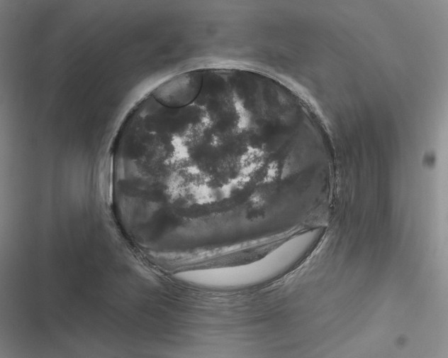 X0000116871223201001121255