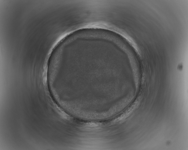 X0000116871224201001121255