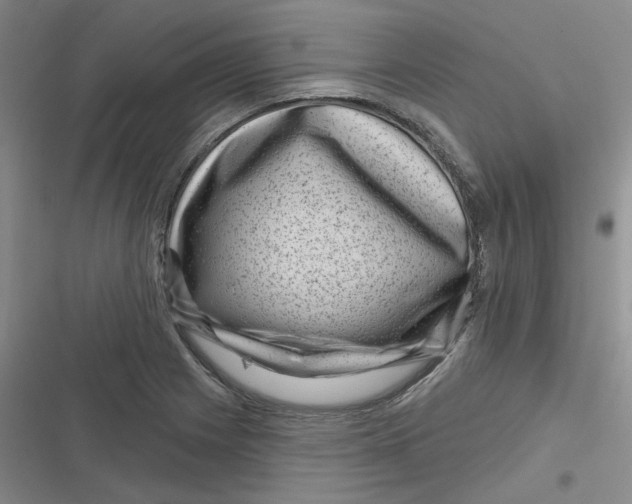 X0000116871225201001121255