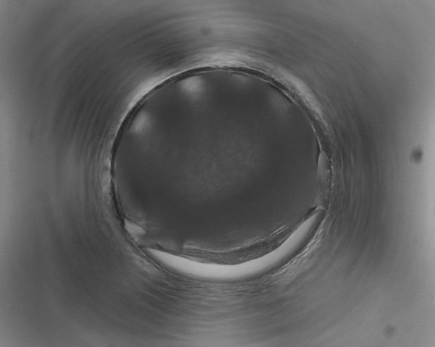 X0000116871226201001121255