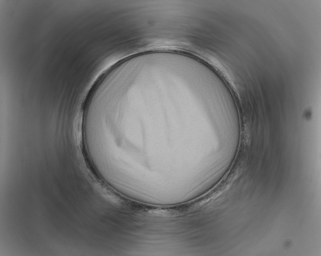 X0000116871227201001121255