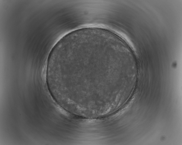 X0000116871228201001121255