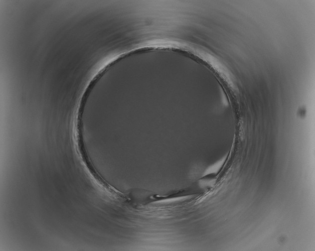 X0000116871229201001121255