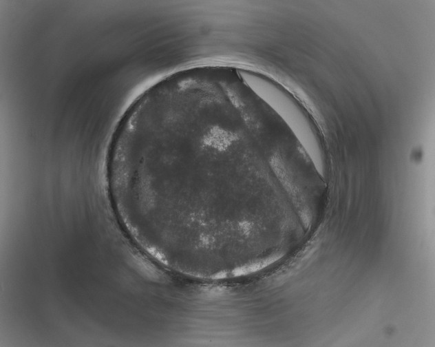 X0000116871230201001121255