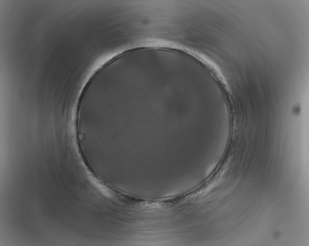 X0000116871231201001121255