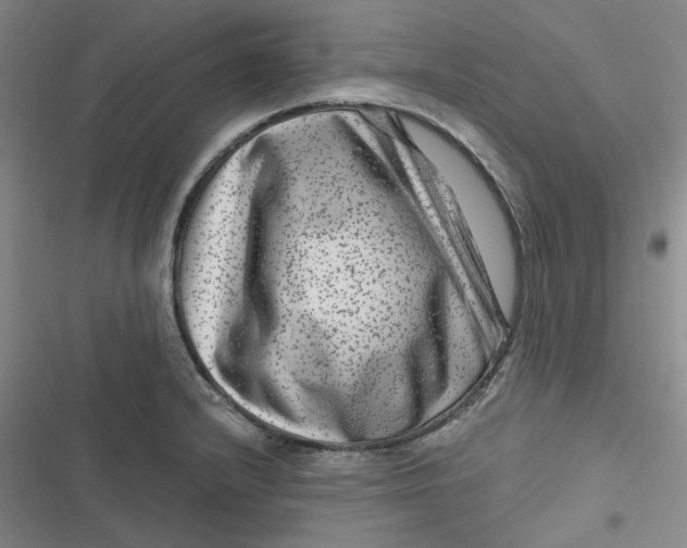 X0000116871232201001121255