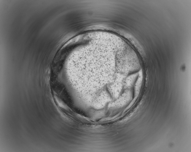 X0000116871233201001121255