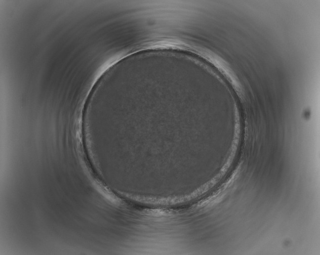 X0000116871234201001121255