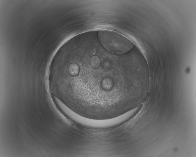 X0000116871235201001121255