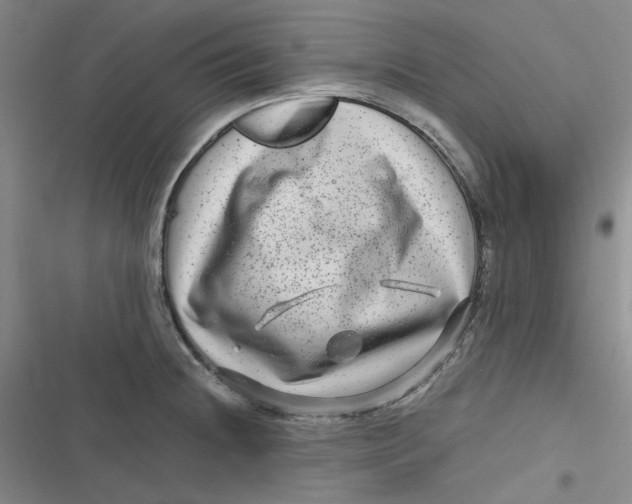 X0000116871236201001121255