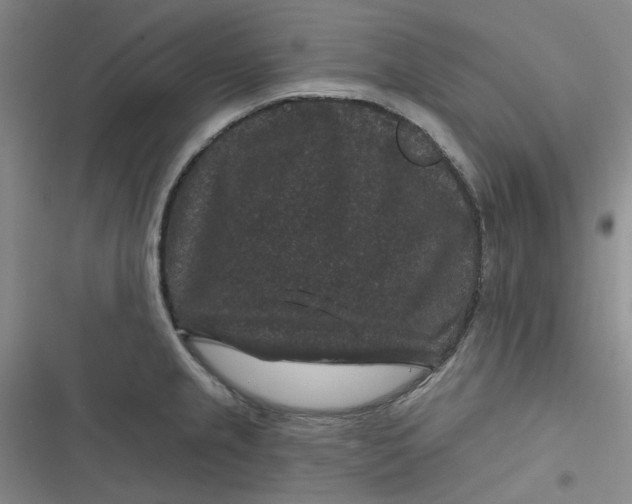 X0000116871237201001121255