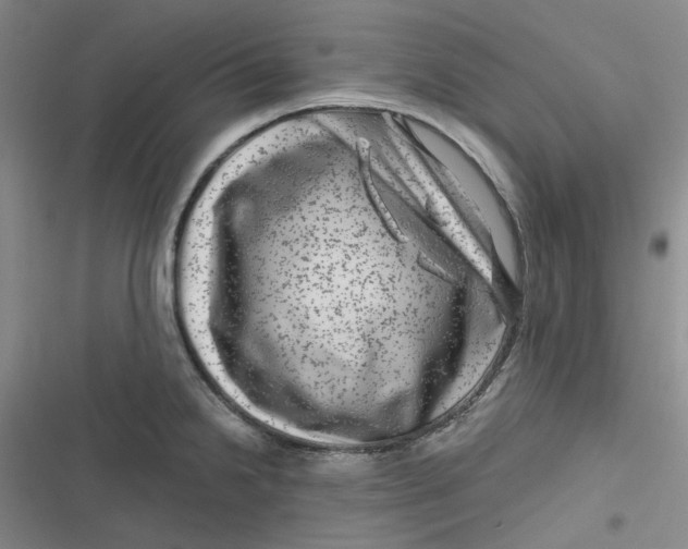 X0000116871238201001121255