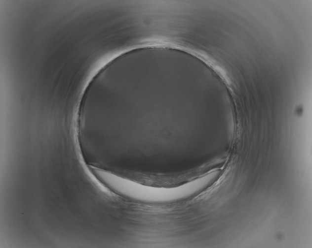 X0000116871239201001121255