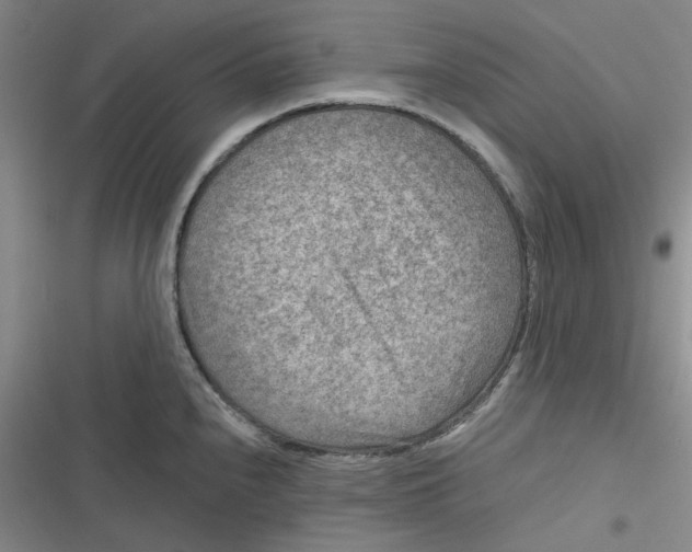 X0000116871240201001121255