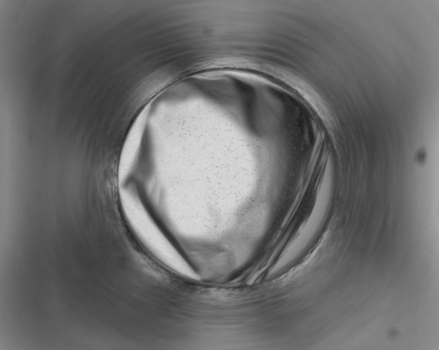 X0000116871241201001121255