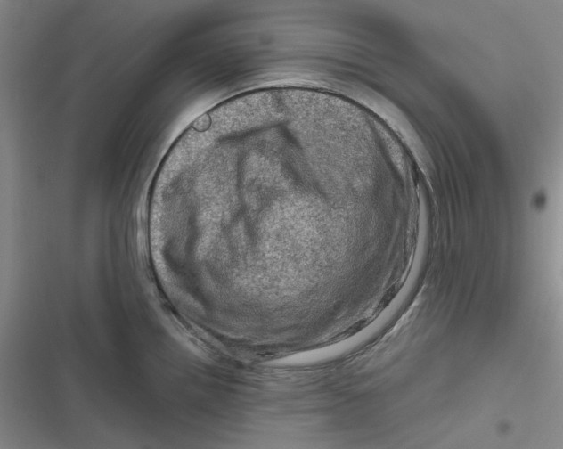 X0000116871242201001121255