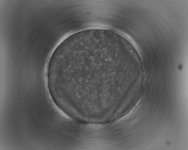 X0000116871243201001121255