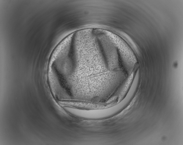 X0000116871244201001121255