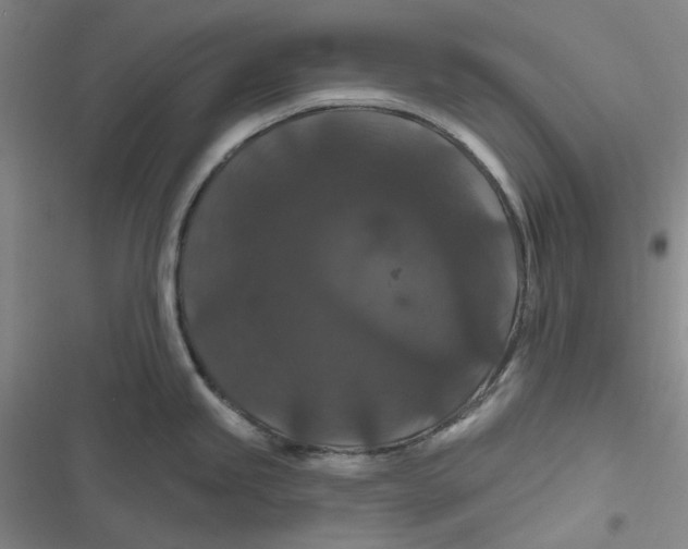 X0000116871245201001121255