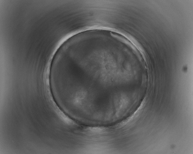 X0000116871246201001121255