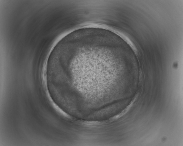 X0000116871247201001121255