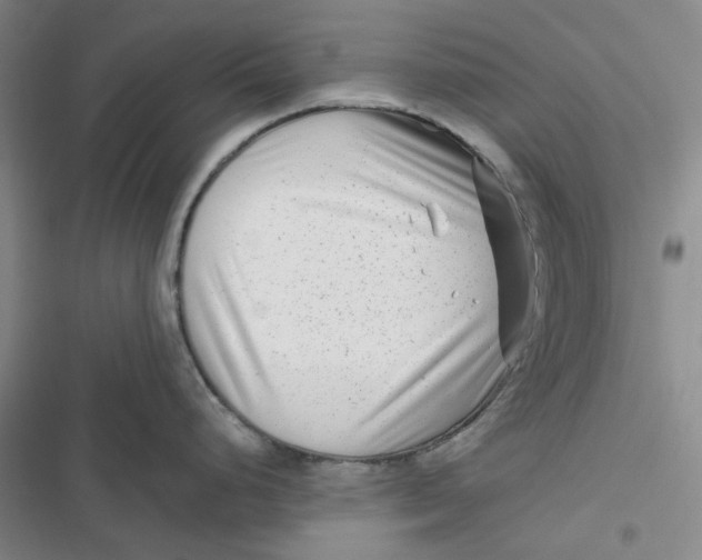 X0000116871248201001121255