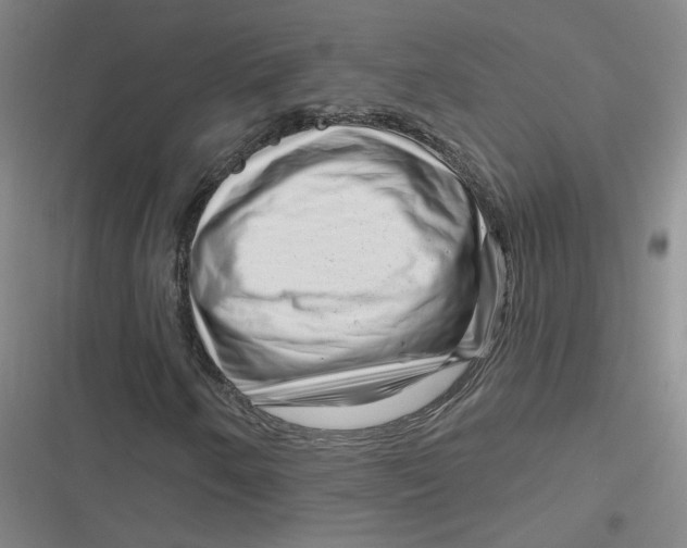 X0000116871250201001121254