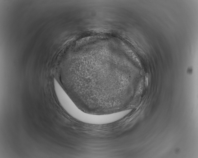 X0000116871251201001121254