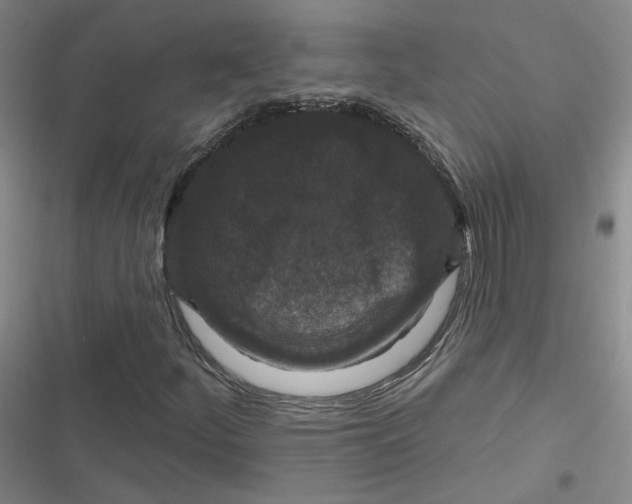 X0000116871252201001121254