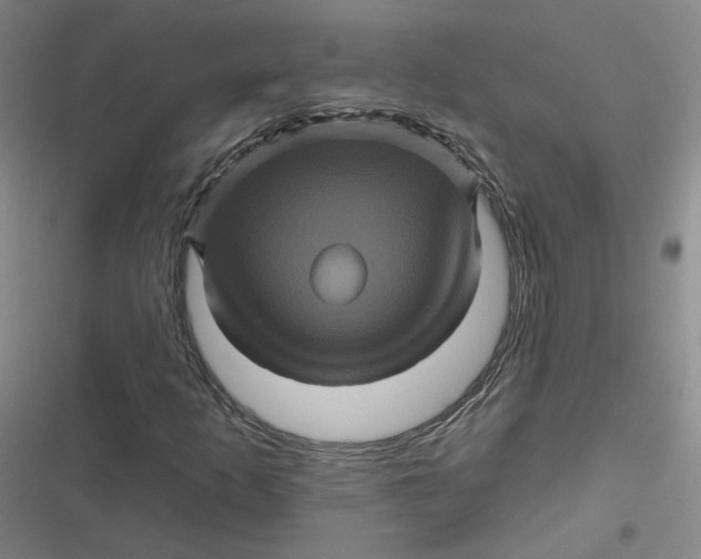 X0000116871253201001121254