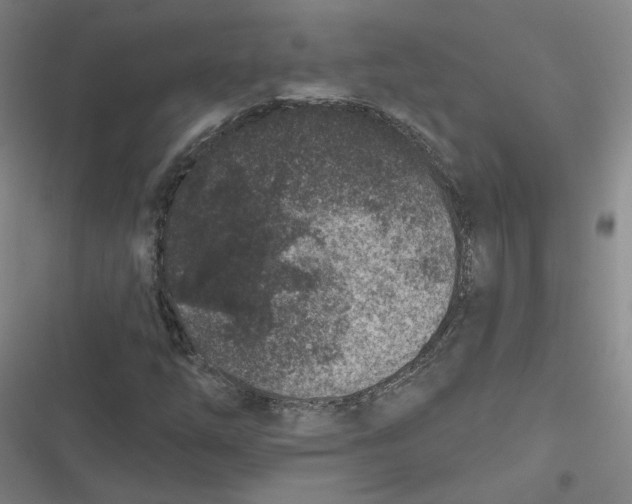 X0000116871254201001121254