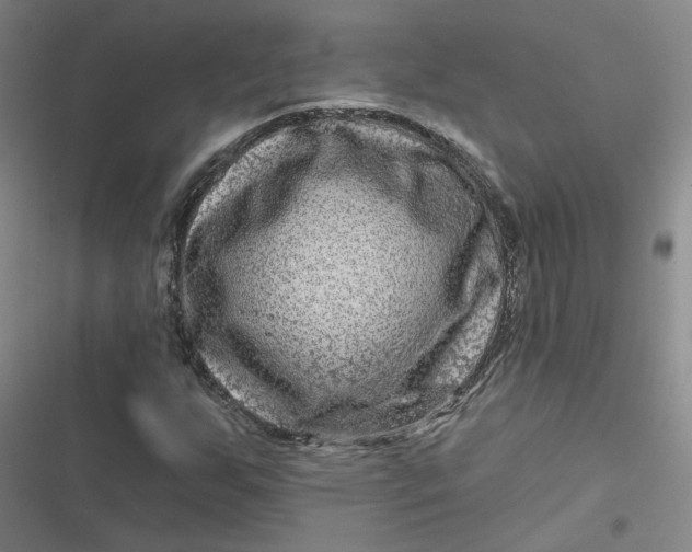 X0000116871255201001121254