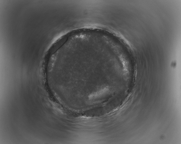 X0000116871256201001121254