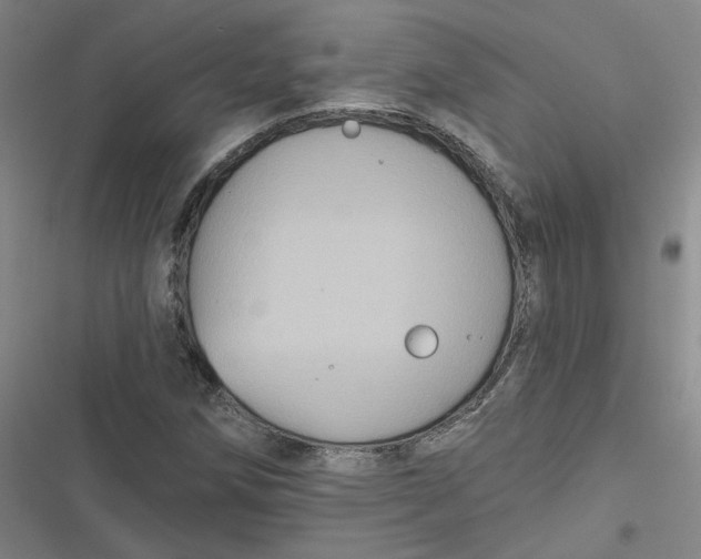 X0000116871258201001121254