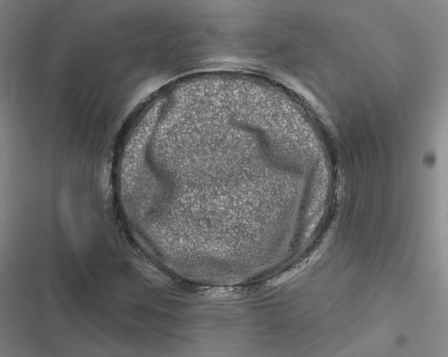 X0000116871259201001121254