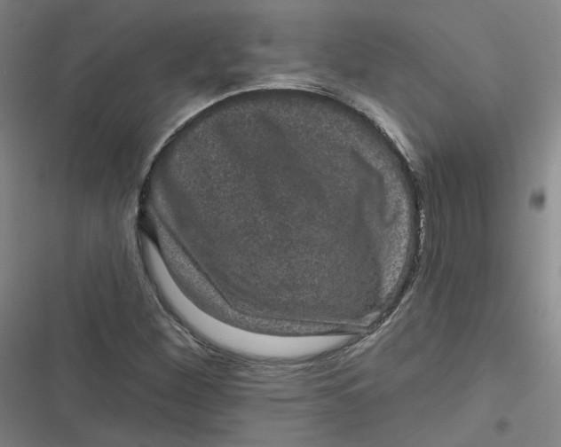 X0000116871260201001121254