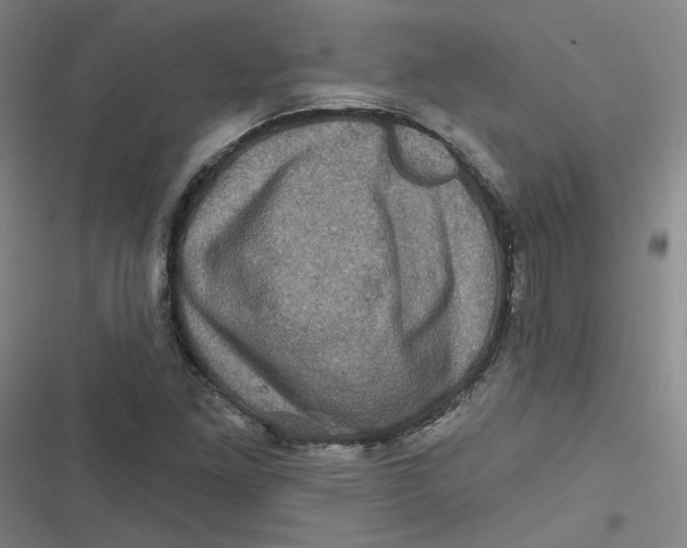 X0000116871261201001121254