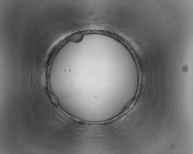 X0000116871262201001121254