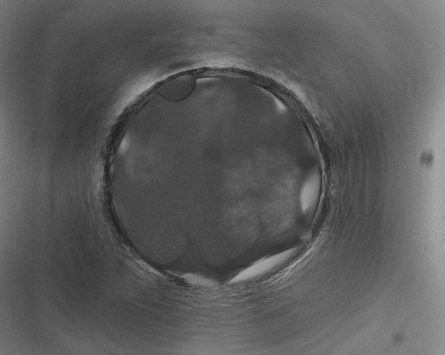 X0000116871263201001121254