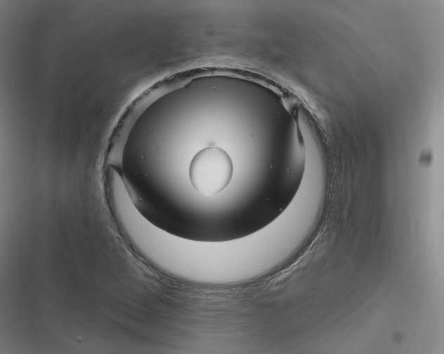 X0000116871264201001121254