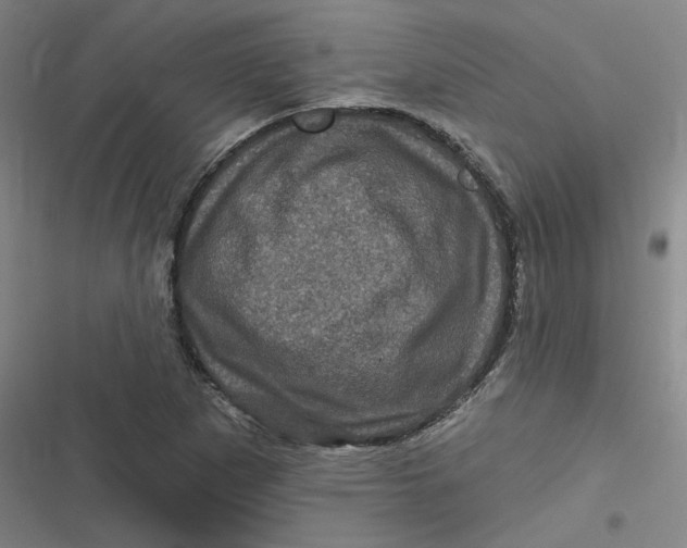 X0000116871265201001121254