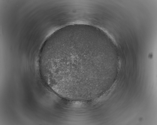 X0000116871266201001121254