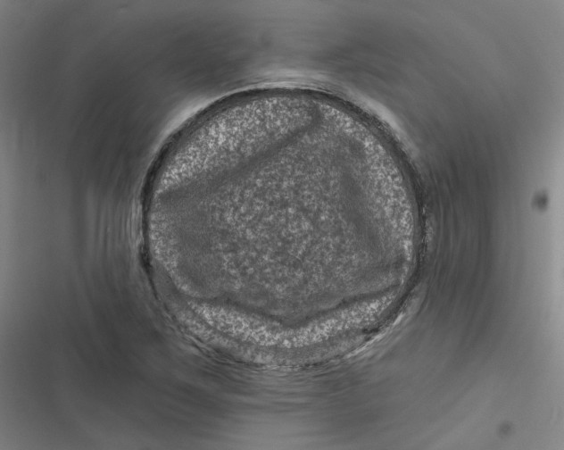 X0000116871267201001121254