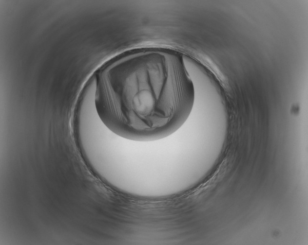 X0000116871268201001121254