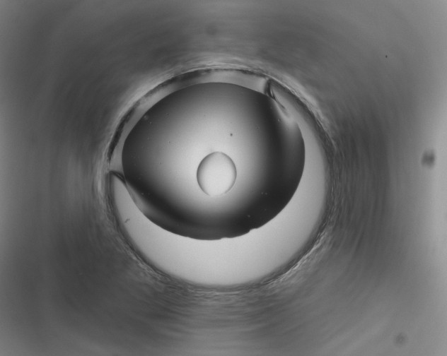 X0000116871269201001121254